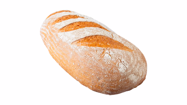 Schweizer groß